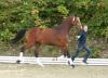 03/10/11 : Ventes AOS, des prix de vente exceptionnels.....