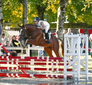 Tack de Ninet Champion de France male anglo arabe 2010