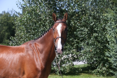 JR d'Everquine SF