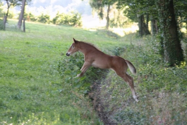 Dèja sur le cross !!!