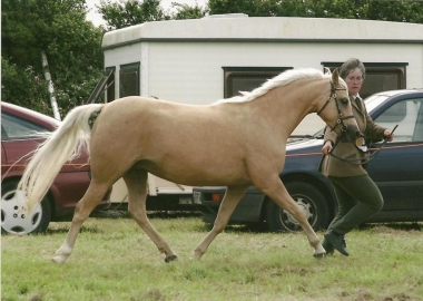 Thistledown Pretty Posh par Eyarth Troy